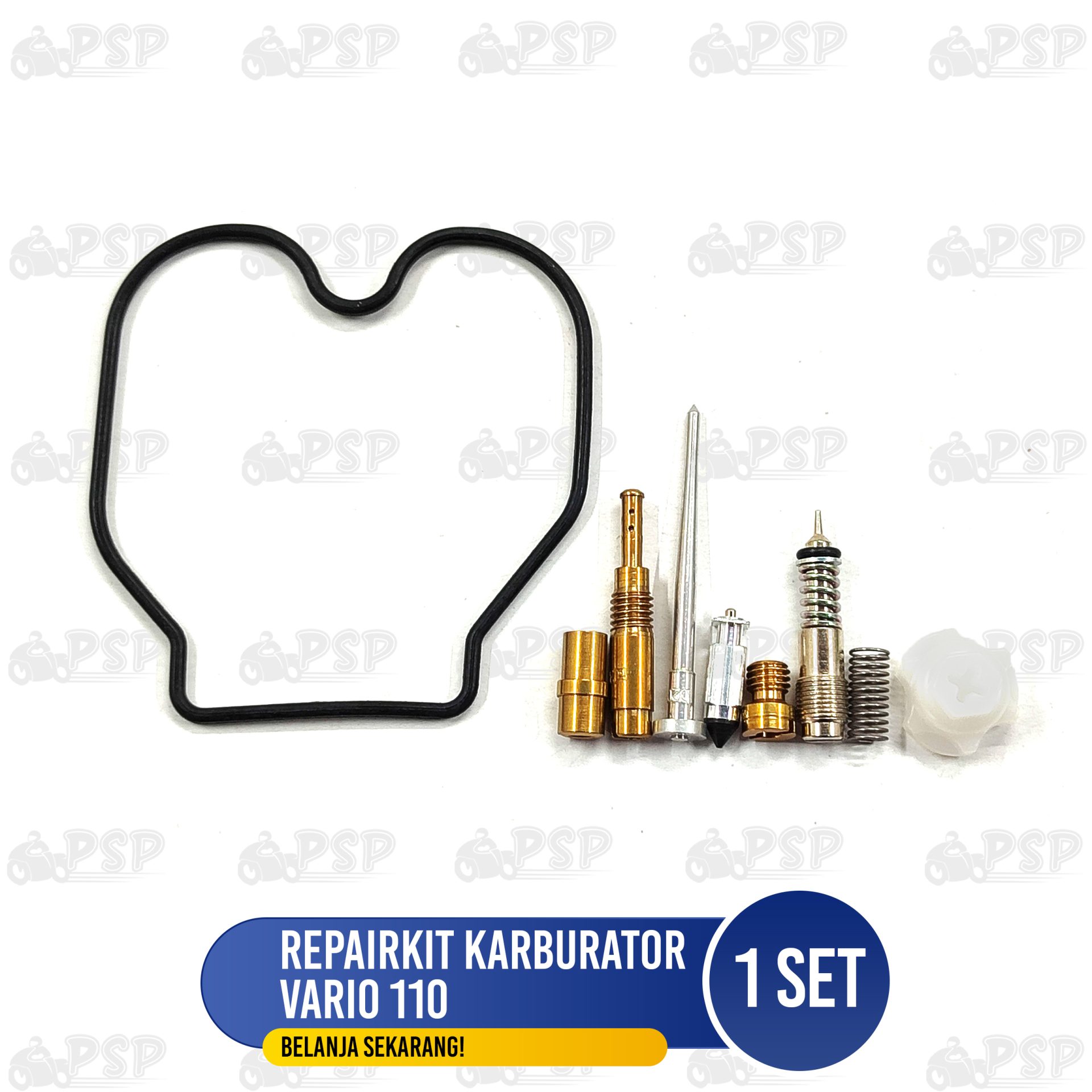 REPAIRKIT KARBURATOR VARIO 110 PSP (8)